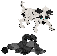 Winter's Spotted Gymnast — “Spotz”