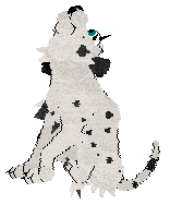 Winter's Spotted Gymnast — “Spotz”