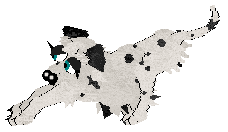 Winter's Spotted Gymnast — “Spotz”