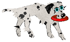 Winter's Spotted Gymnast — “Spotz”