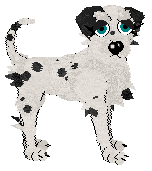 Winter's Spotted Gymnast — “Spotz”