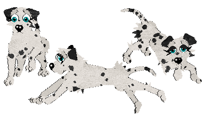 Profile image of Winter's Spotted Gymnast