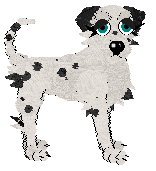 Winter's Spotted Gymnast — “Spotz”