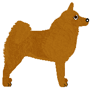 Dragosani SIX FLAGGS — “Floo”