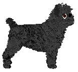Dragosani PAN PIKUŚ — “Pikoo”