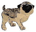 Profile image of Cargo's You're Gonna Do Great