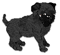 Profile image of Cargo's Juniper Berry