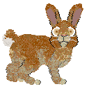 FK/Calluna's Not Your Garden Variety — “Danvers”