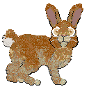 Profile image of FK/Calluna's Not Your Garden Variety