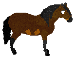Profile image of Mockingbird's Brown Sugar Cube at Sakura Ridge
