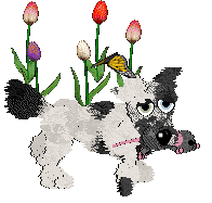 Funfetti's To Each Their Own — “Zebby”