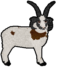 Profile image of Datura's Shear Luck