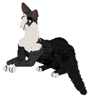 Profile image of Aftermath Will o' the Whisp