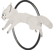 Nightwish/Fauvelle's Whimsy in White at Vanilla — “Dani”