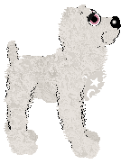 Profile image of Tangle's Is It Your Cake Day?