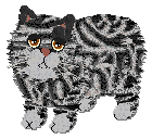 Profile image of Frogbowl Fluffy Gift