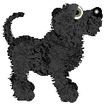 EC's Hold My Heartstrings — “Ralph”