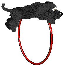 EC's Hold My Heartstrings — “Ralph”