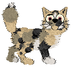 Profile image of Amenity's Good Girls Guide To Murder at Wild Road