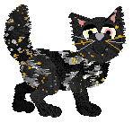 Profile image of Fractal's Confetti Joy at Wild Road