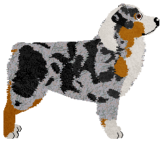 Profile image of Tarot Figure of Speech