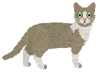 Kattguld Expression Without Pression — “Pres”