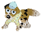 Funfetti/Poppyhill's Rare Refinement — “Royce”