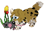 Funfetti/Poppyhill's Rare Refinement — “Royce”