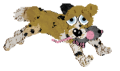Funfetti/Poppyhill's Rare Refinement — “Royce”