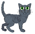 Starling Little Nose — “Nala”