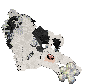 Poppyhill's The Ghost of Us — “Phantom”