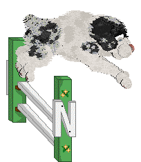 Poppyhill's The Ghost of Us — “Phantom”