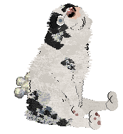 Poppyhill's The Ghost of Us — “Phantom”