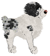 Poppyhill's The Ghost of Us — “Phantom”