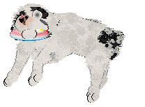 Poppyhill's The Ghost of Us — “Phantom”