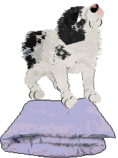 Poppyhill's The Ghost of Us — “Phantom”