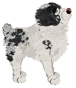 Poppyhill's The Ghost of Us — “Phantom”