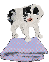 Poppyhill's The Ghost of Us — “Phantom”