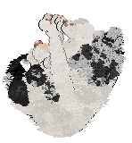 Poppyhill's The Ghost of Us — “Phantom”