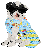 Poppyhill's The Ghost of Us — “Phantom”