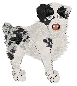 Poppyhill's The Ghost of Us — “Phantom”