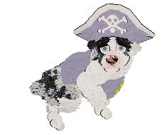 Poppyhill's The Ghost of Us — “Phantom”