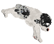 Poppyhill's The Ghost of Us — “Phantom”