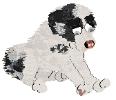 Poppyhill's The Ghost of Us — “Phantom”