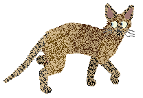 Profile image of Sierpiński's Chaos, You See at Vanilla