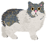 Borealis Blue Genes White Shirt — “Lana”