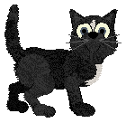Sox Unlocked Treasure — “Aloha”