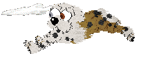 Funfetti/Poppyhill's Literally Uncatchable at Amenity — “Miata”