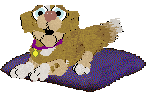 Funfetti/Poppyhill’s Catching The Scenic Route at FK — “Scout”
