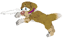 Funfetti/Poppyhill’s Catching The Scenic Route at FK — “Scout”